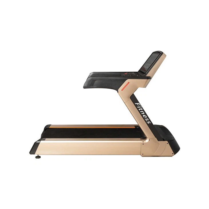 5motorized treadmill