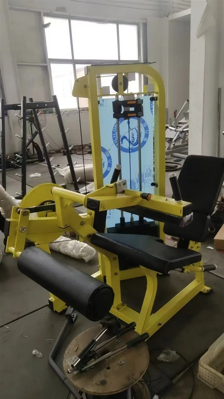 Seated Leg Curl best